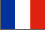 LEC french translation software
