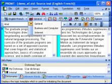 @promt Professional English-French Translation Software